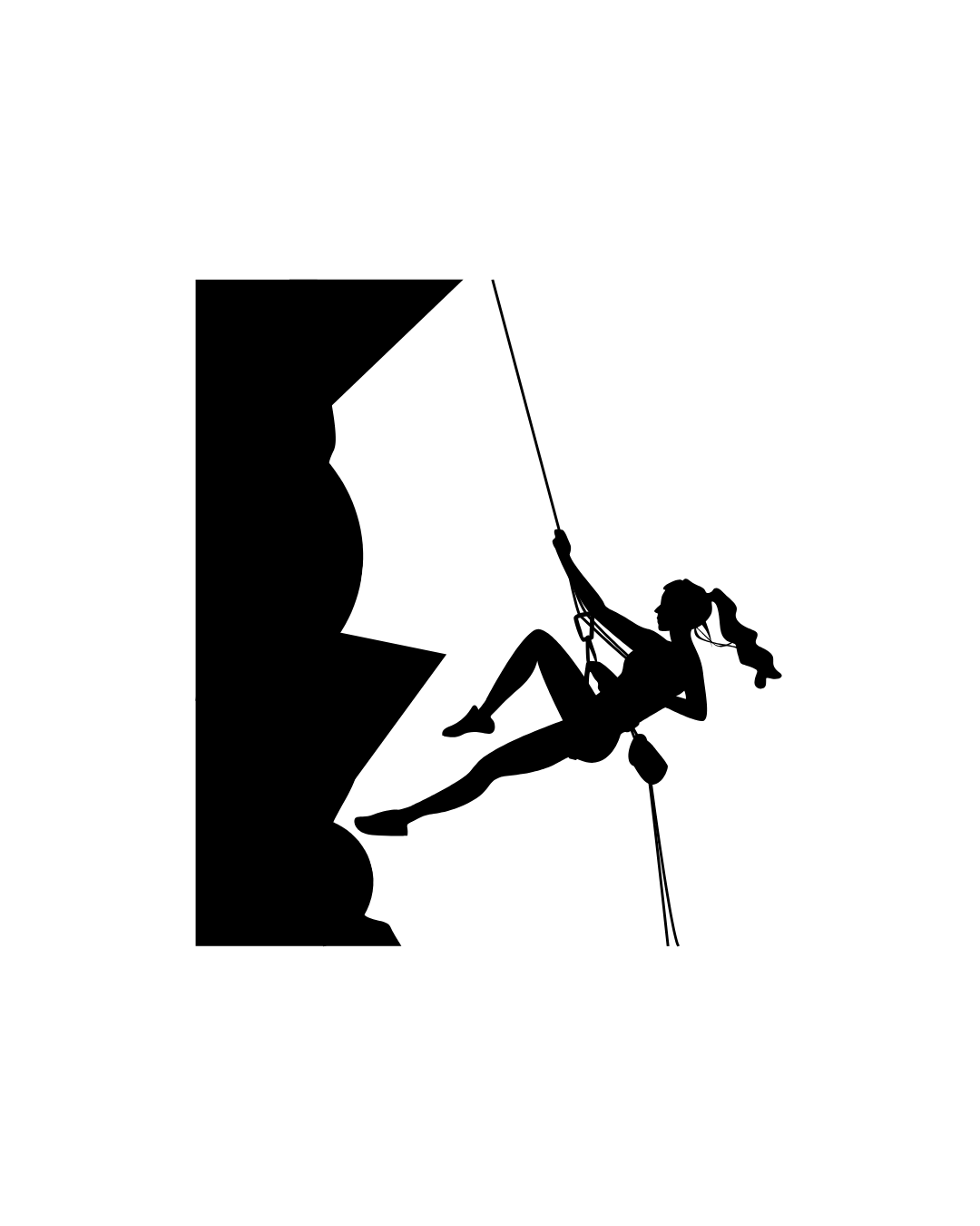 Top Rope Beginners Guide logo